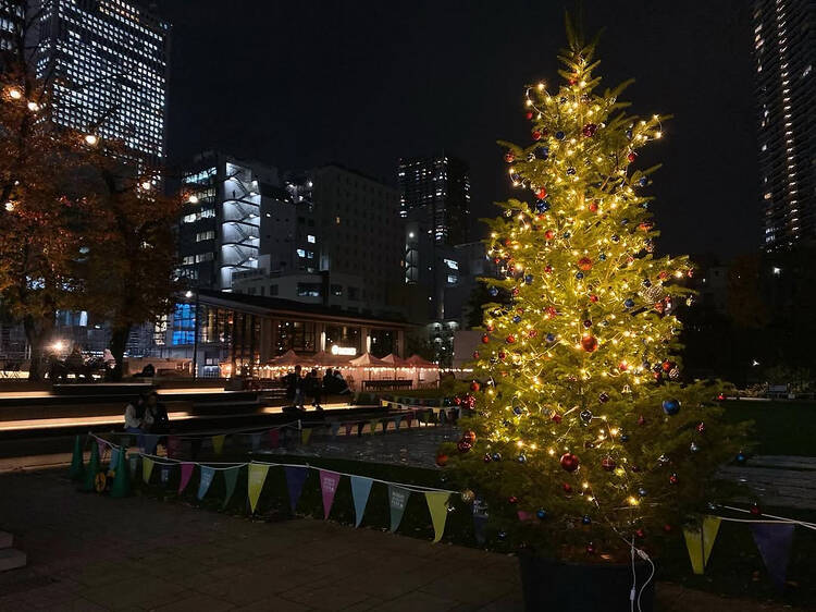 芝生でイルミネーションを楽しむ。