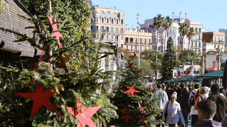 Un passeig ple de llums! Un passeig ple de llums!