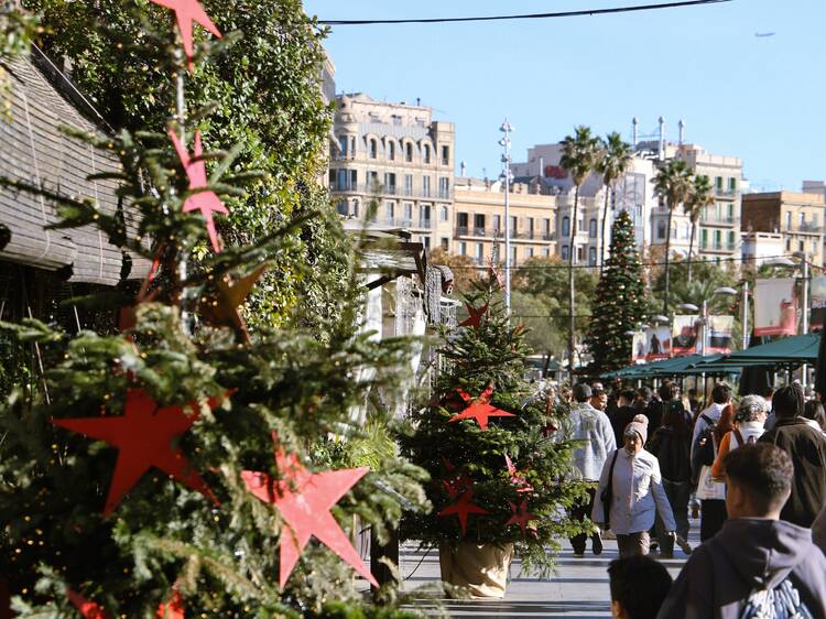Un passeig ple de llums! Un passeig ple de llums!