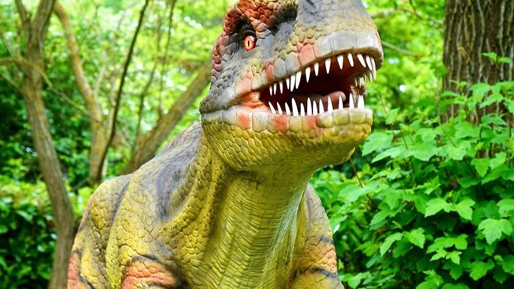 @jardin_elbosqueencantado