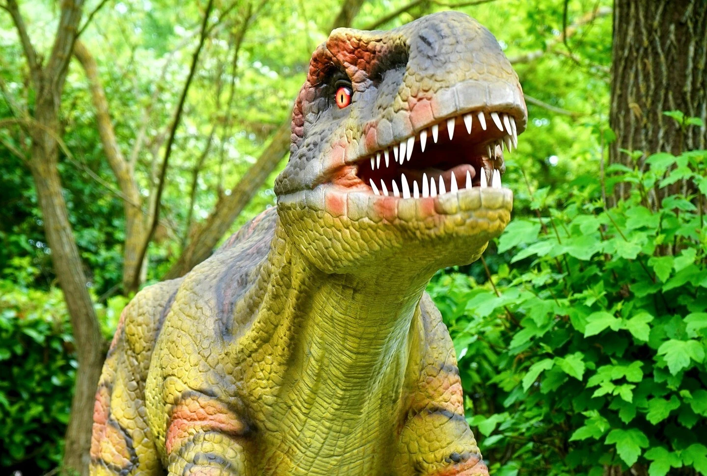 @jardin_elbosqueencantado