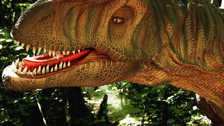 Dinolandia Madrid @jardin_elbosqueencantado