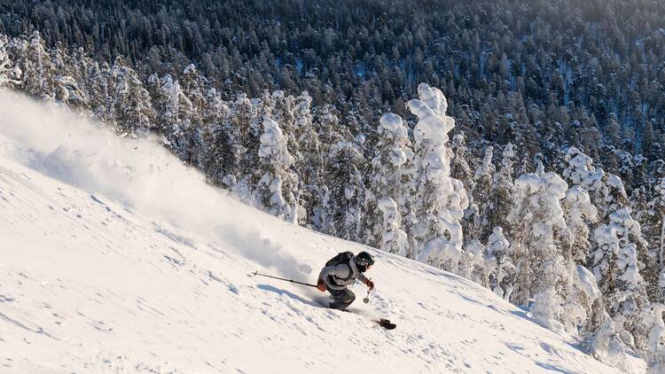 Ihminen laskee alas lumista off-piste-rinnettä taustallaan lumiset puut Ihminen laskee alas lumista off-piste-rinnettä taustallaan lumiset puut