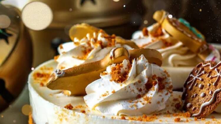 Coroa de Lotus, Joana Reymão Nogueira