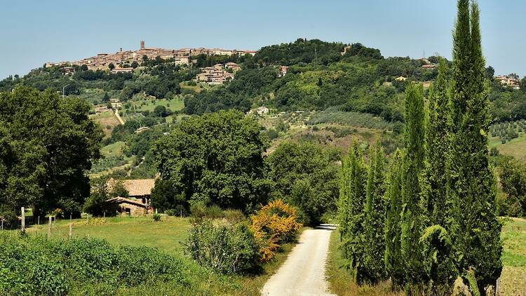 Radicondoli, Italy Radicondoli, Italy