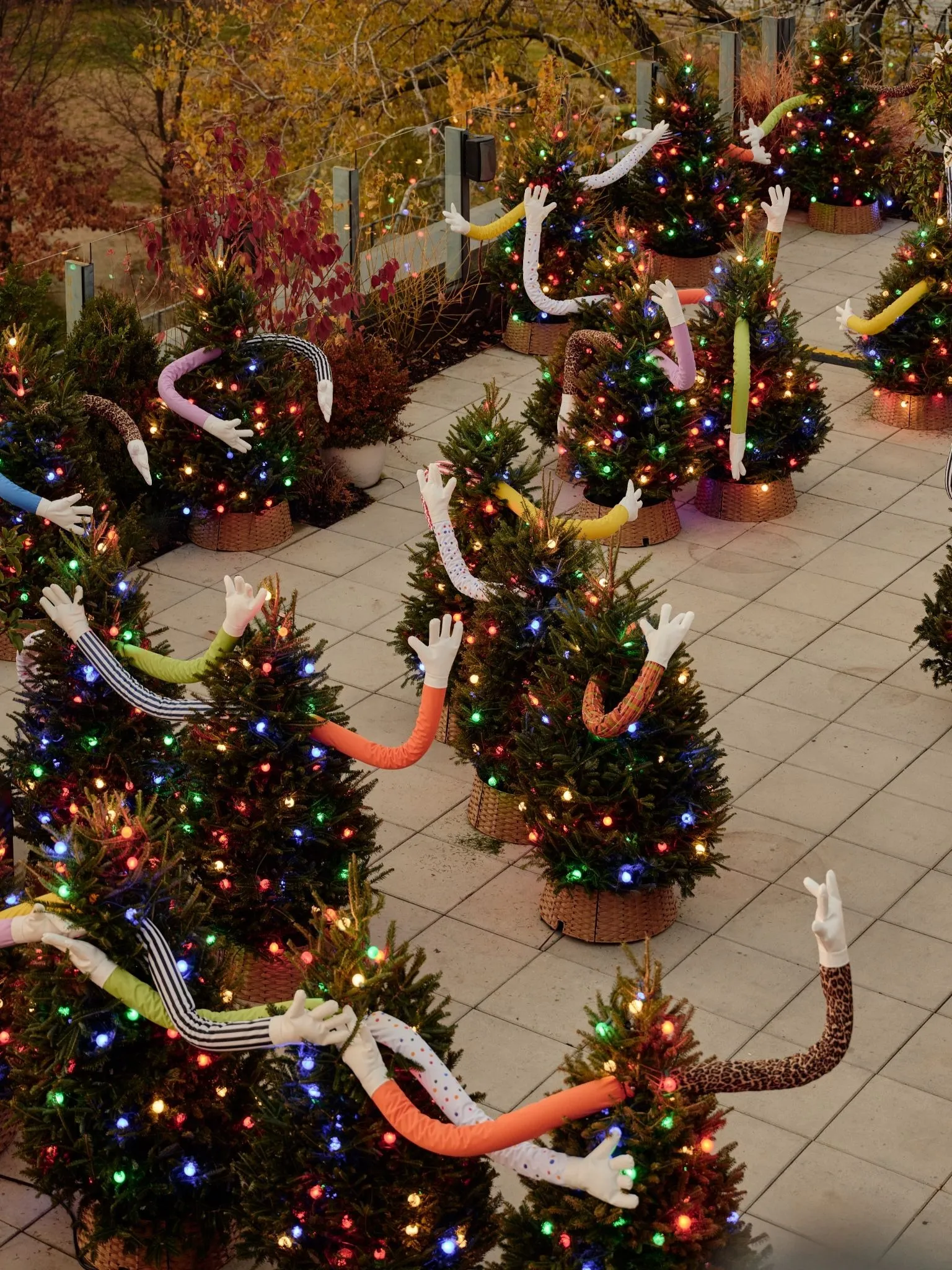 tree huggers installation