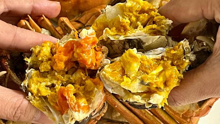 大閘蟹推介︰億豐行 明星名人愛店 保證爆膏