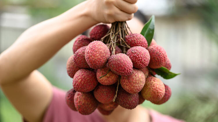 Man holding a bunch of litchis litchis
