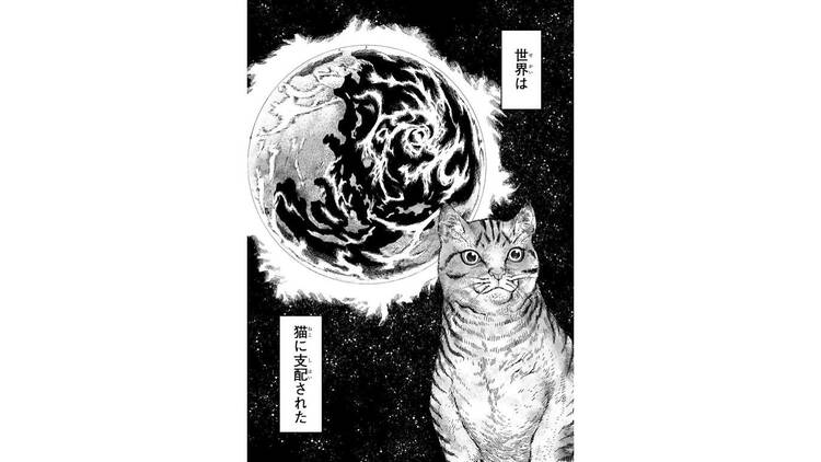 ニャイト・オブ・ザ・リビングキャット展