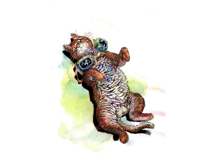 大阪、1月から2月に行くべきアート展
