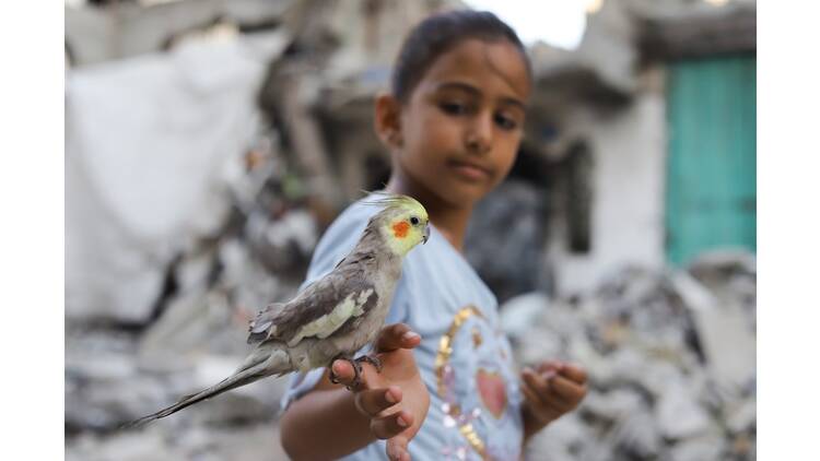 Kyotographie 2026 Kyotographie 2026