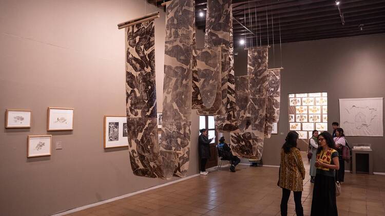 Grabadoras de historias: mujeres en la gráfica de los pueblos de México