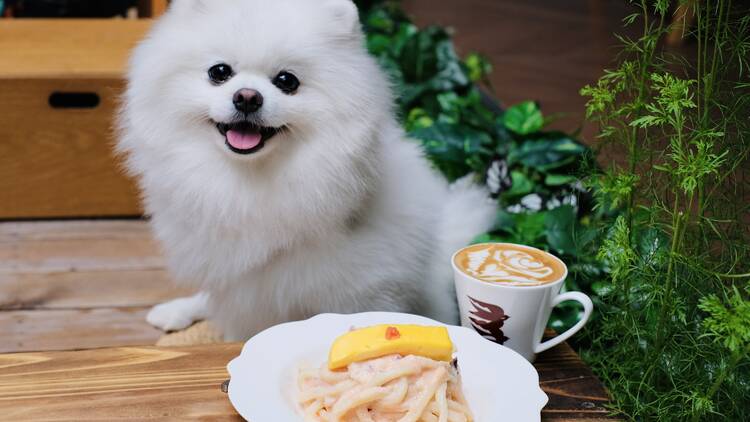 旺角 cafe 推介：骨子裡