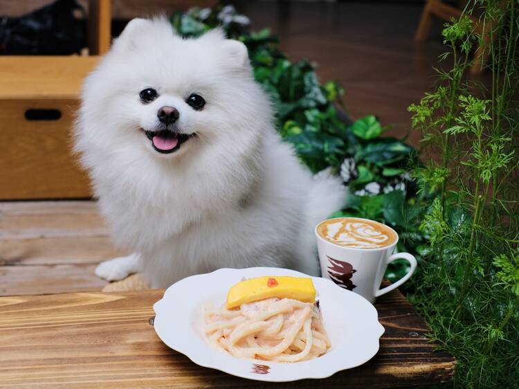 旺角 cafe 推介：骨子裡