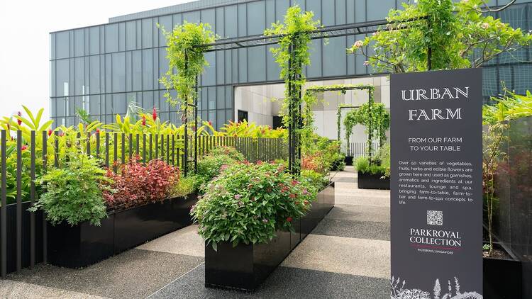 A commitment to sustainability woven into your stay A commitment to sustainability woven into your stay