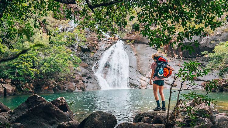 Thorsborne Trail, Hinchinbrook Island Hiker looking at waterfall