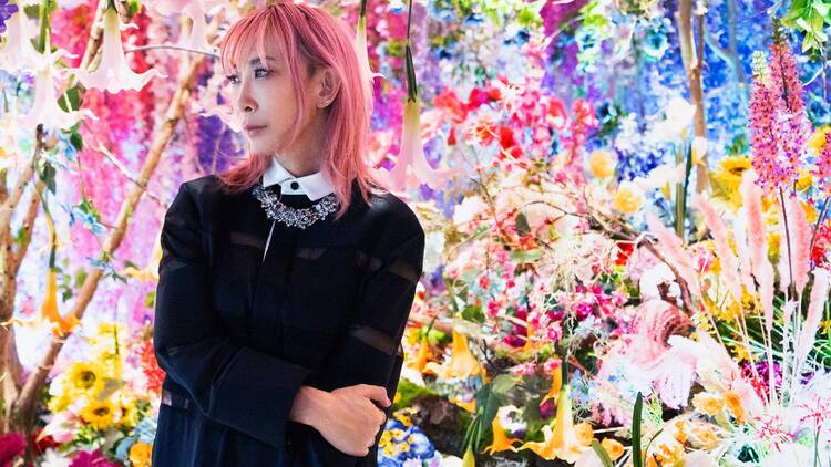 Kyoto Nippon Festival Kyoto Nippon Festival