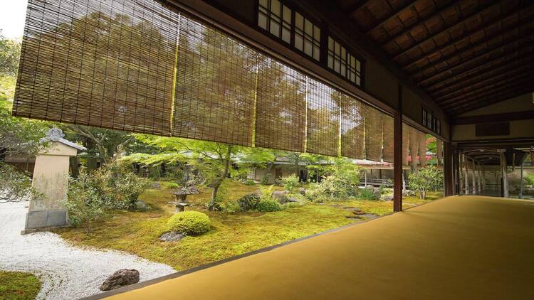 Daitokuji Temple special spring opening Daitokuji Temple special spring opening