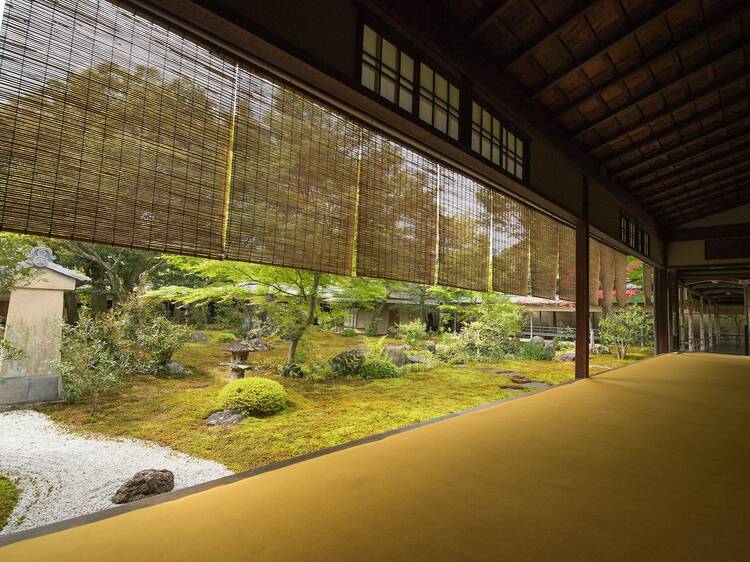 Daitokuji Temple special spring opening Daitokuji Temple special spring opening