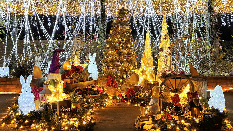 Shikinokaori Rose Garden Christmas Illuminations