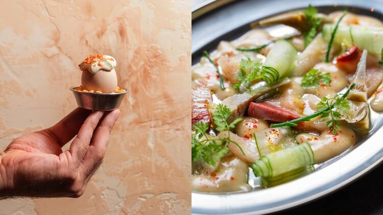 Trattoria Felino Trattoria Felino