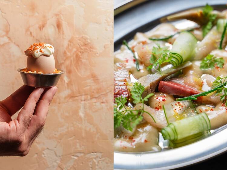 Trattoria Felino Trattoria Felino