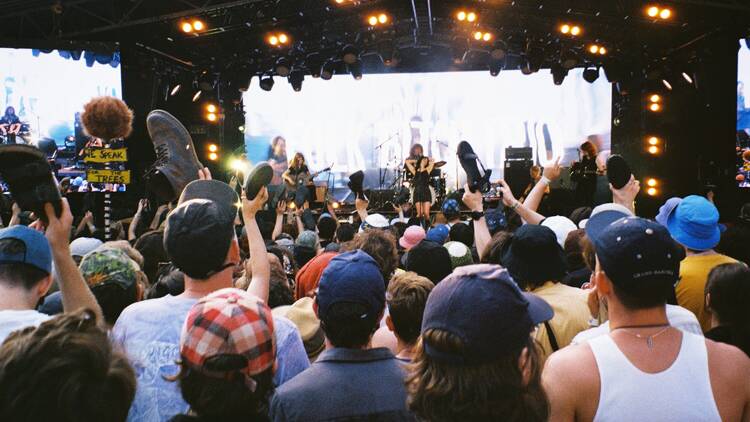 The crowd at Meredith Music Festival