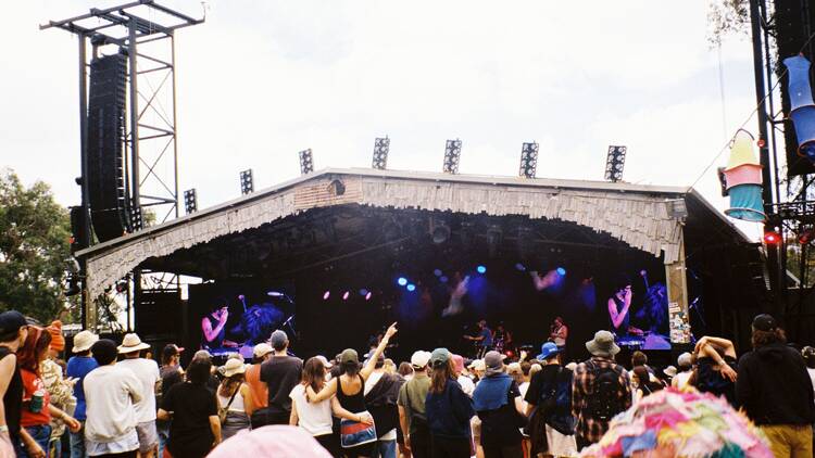 The crowd at Meredith Music Festival 