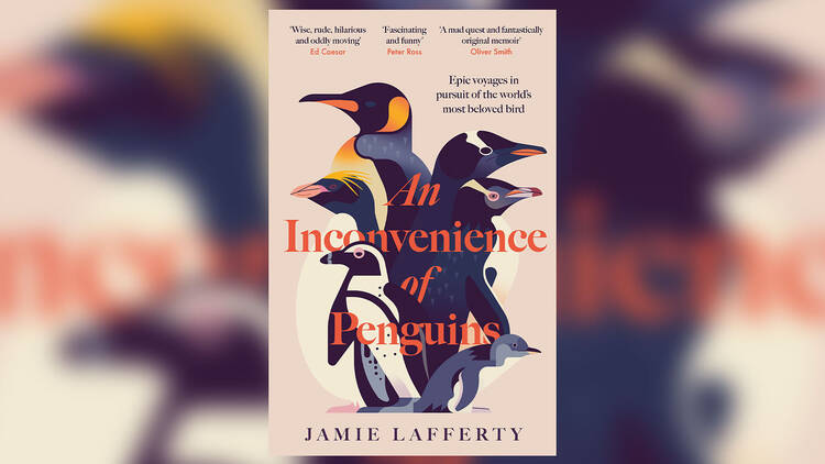 ‘An Inconvenience of Penguins' by Jamie Lafferty