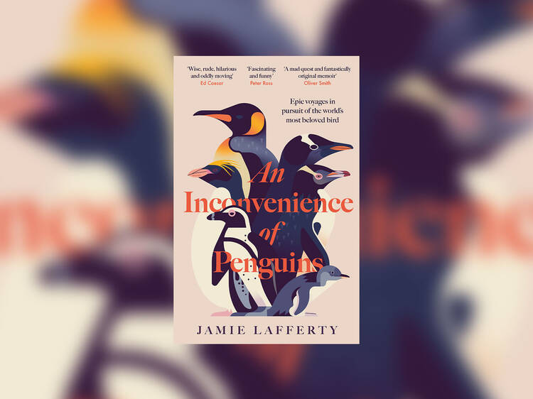 ‘An Inconvenience of Penguins' by Jamie Lafferty