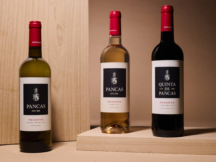 Escolher bem é uma questão de Pancas