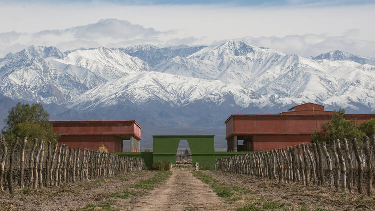 A journey through the first biodynamic winery in the Uco Valley