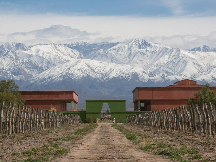 A journey through the first biodynamic winery in the Uco Valley