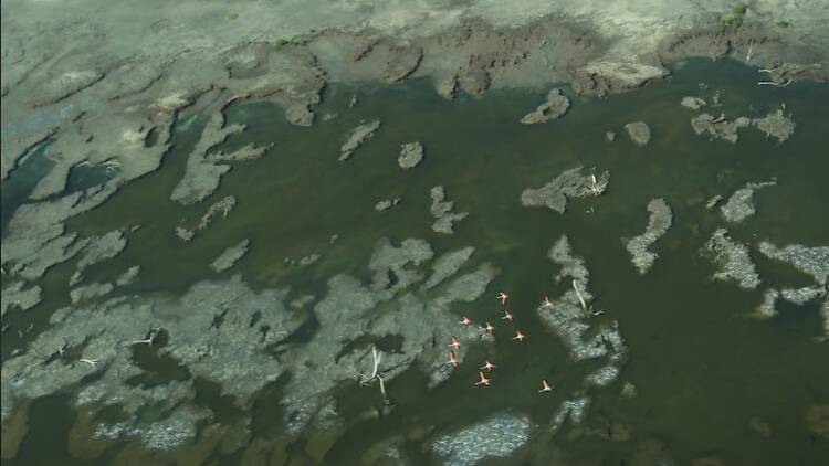 Miramar de Ansenuza – Córdoba Miramar de Ansenuza – Córdoba