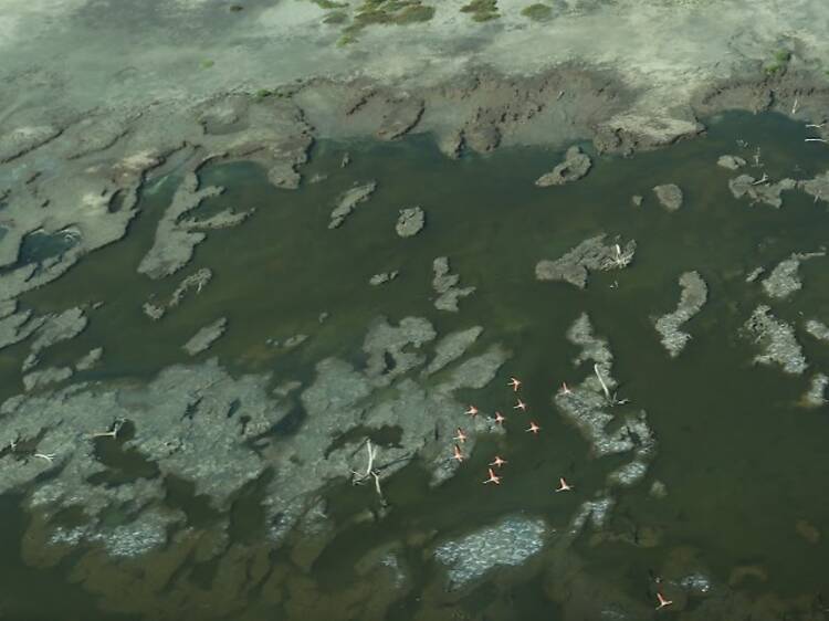 Miramar de Ansenuza – Córdoba Miramar de Ansenuza – Córdoba