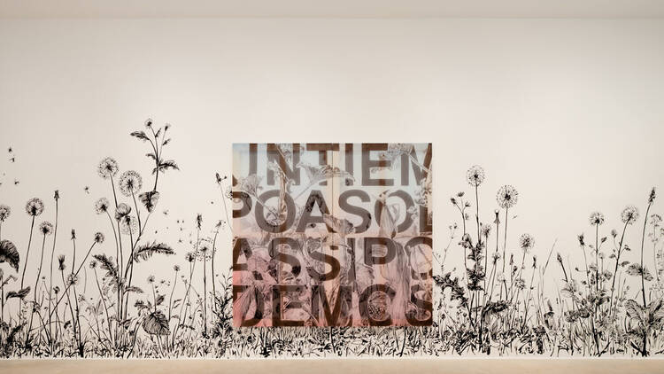 Vistas de la exposición 'Una lucha de paisajes1 de Iván Argote. Foto Pablo Gómez Ogando