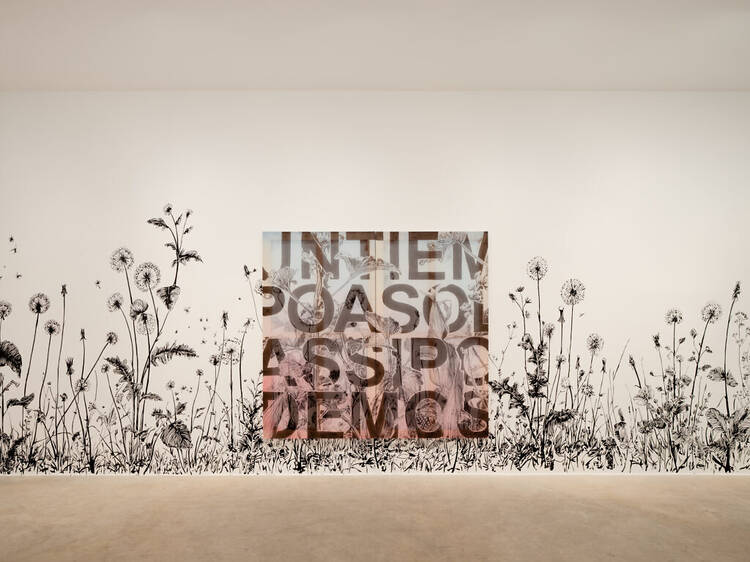 Una lucha de Paisajes. Iván Argote