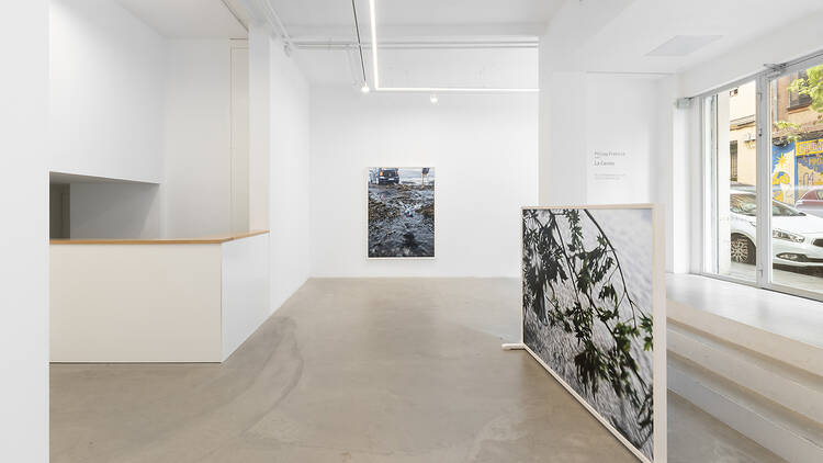Vistas de la exposición 'La Cavale' de Philipp Frohlich. Fotografía de Roberto Ruiz
