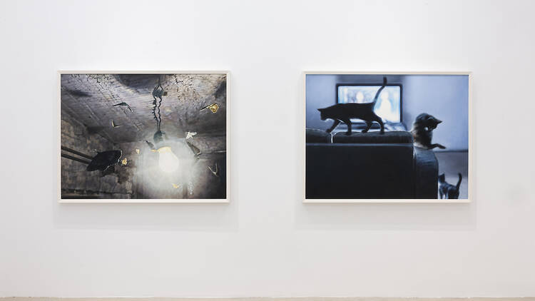 Vistas de la exposición 'La Cavale' de Philipp Frohlich. Fotografía de Roberto Ruiz