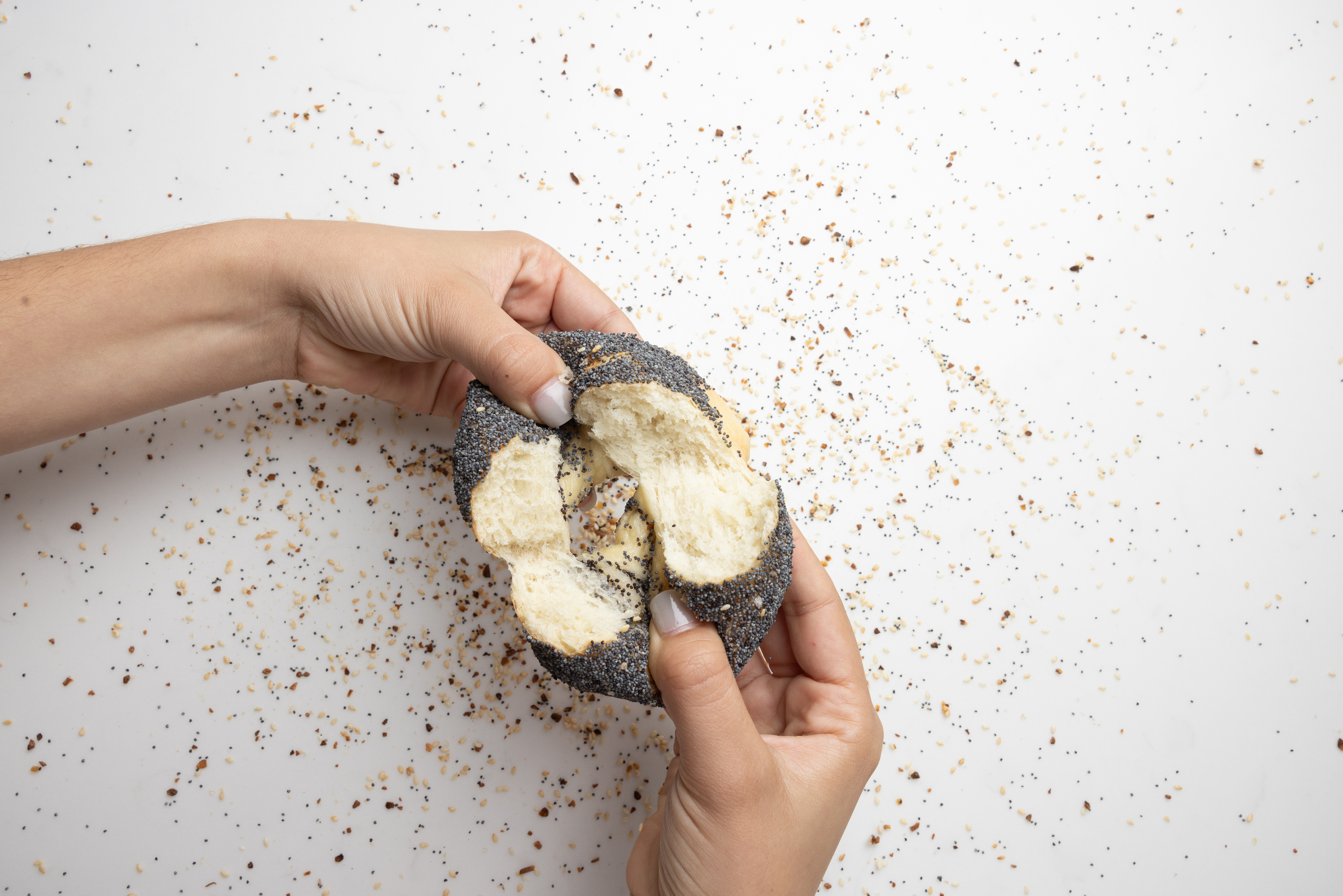 PopUp Bagels