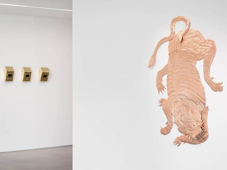 Tinct. Bekhbaatar Enkhtur