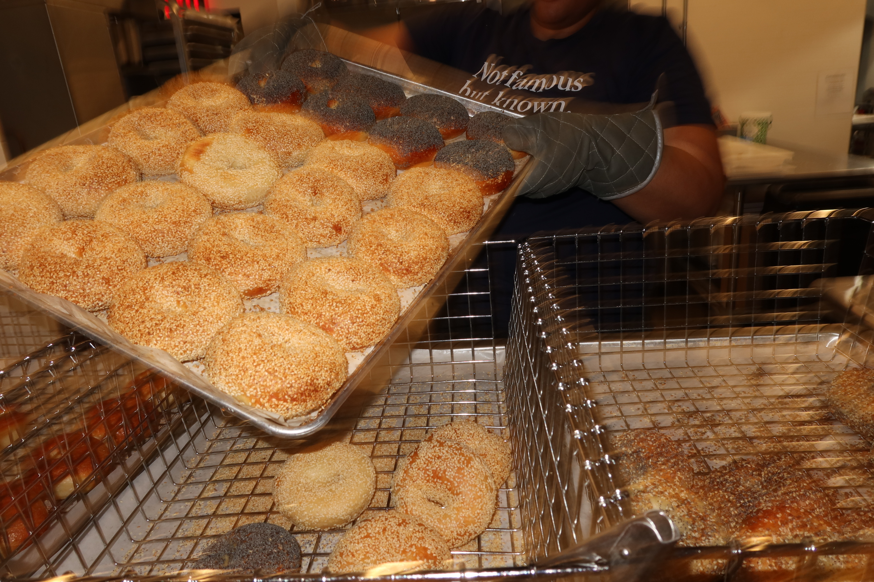 PopUp Bagels