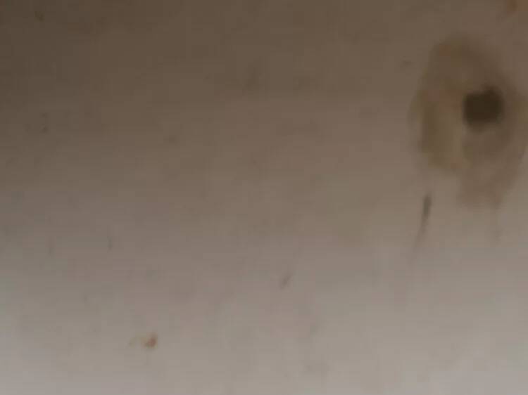 Unir danza, cante y experimentación