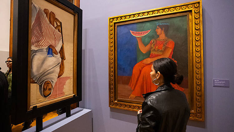 Disputar la mirada. Imaginarios visuales de las mujeres indígenas