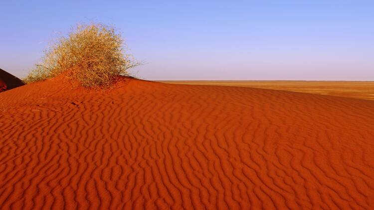 Munga-Thirri-Simpson Desert National Park Sand dunes