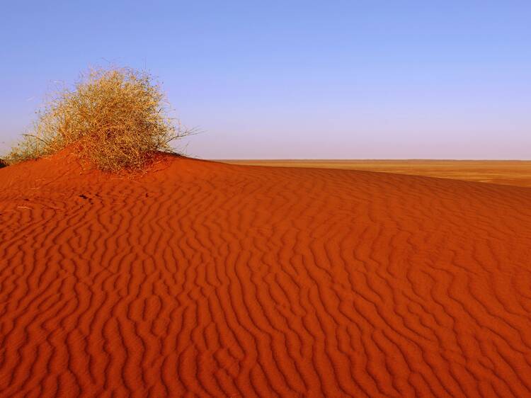 Australia’s biggest national park stretches across three states – and it has to be seen to be believed Australia’s biggest national park stretches across three states – and it has to be seen to be believed