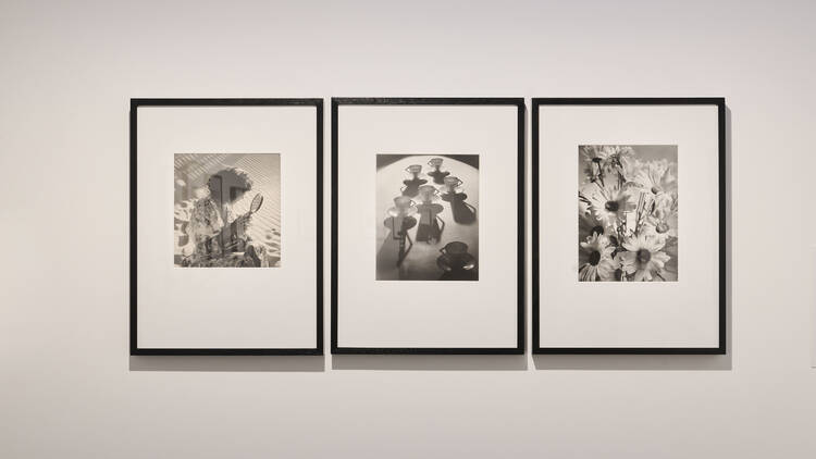 Women Photographers 1900–1975 Images at the NGV's 'Women Photographers 1900–1975' exhibition.