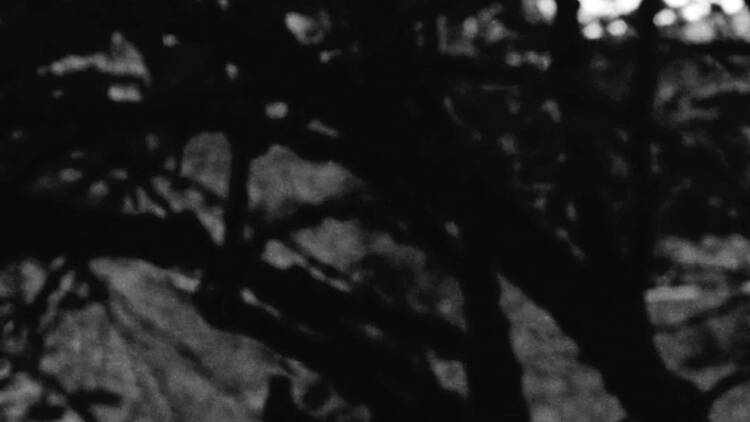 Découvrir la réplique de l'atelier du maître de la miniature Joseph Cornell créée par Wes Anderson