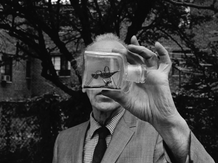 Le cinéaste Wes Anderson recrée l’atelier du maître de la miniature Joseph Cornell à Paris