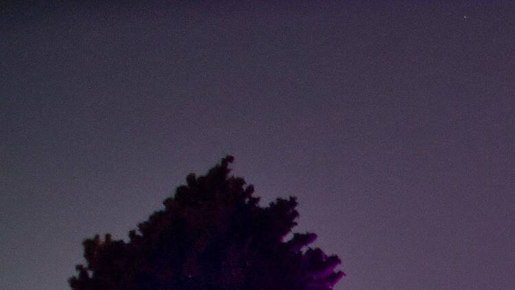 Les Nits Occident 2026 Les Nits Occident 2026